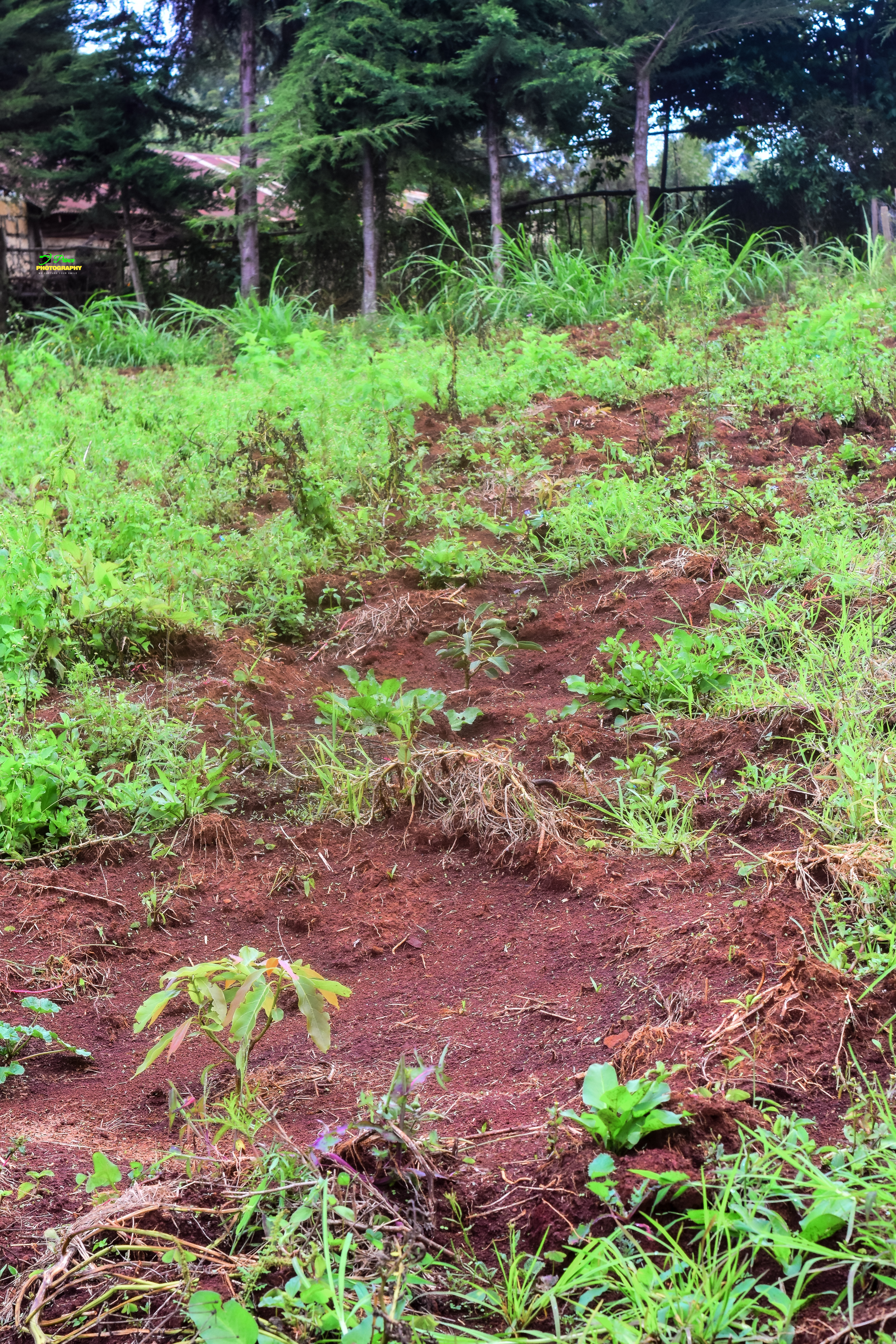Farming Operations